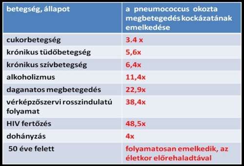 pneumococcus.jpg